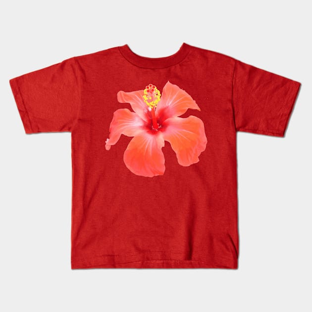 Red Hibiscus Vector Isolated Botanical Art Kids T-Shirt by taiche